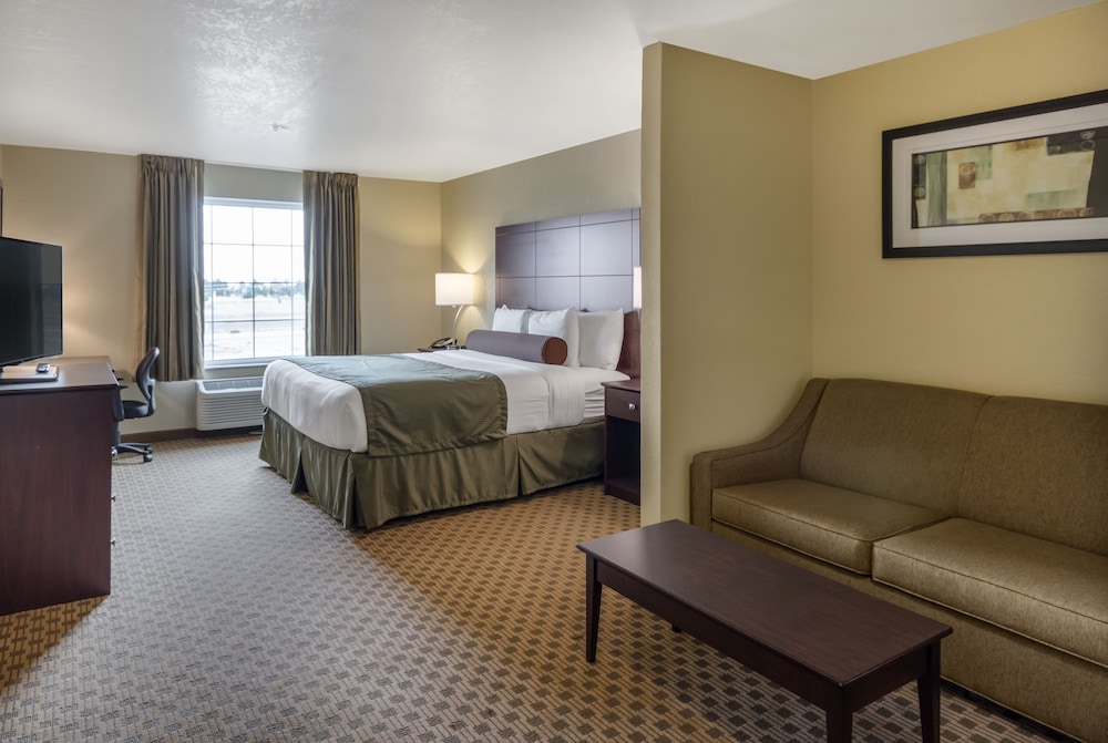 Cobblestone Hotel & Suites Pecos - photo 7