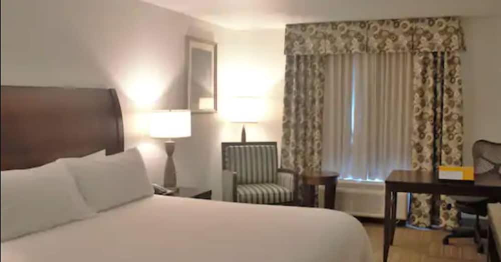 Hilton Garden Inn Warner Robins - photo 5