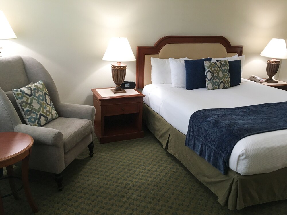 La Avenida Inn - photo 14