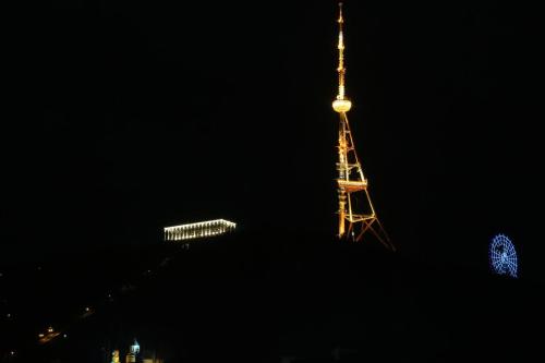 Excellent Location Lovely Studio In Tbilisi