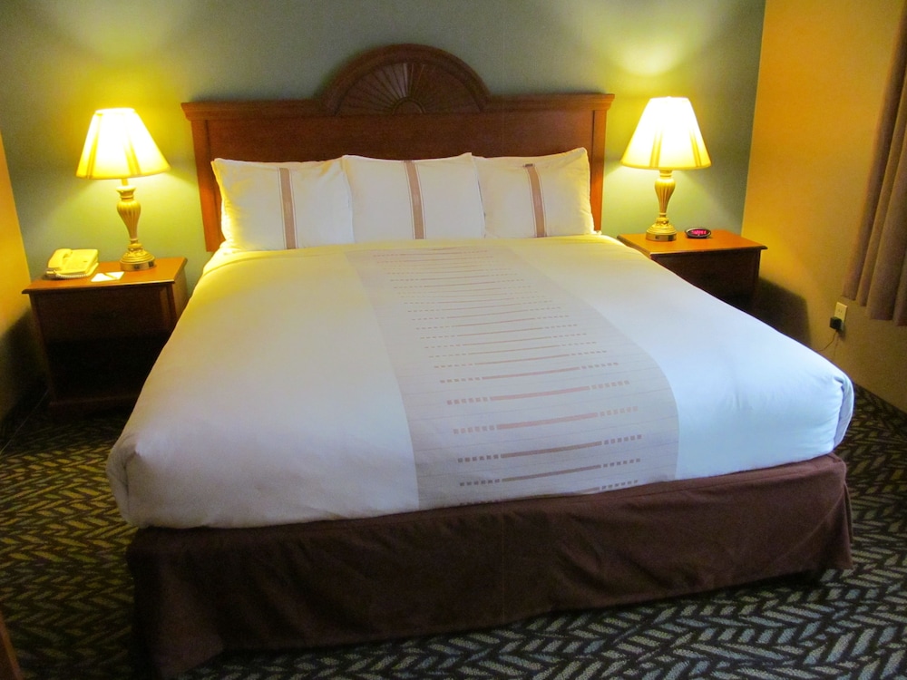 Fireside Inn and Suites - photo 13