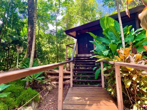 Cairns Rainforest Retreat — Cairns — photo 3
