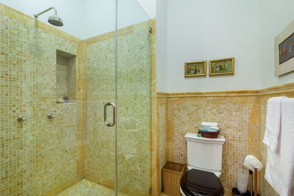 Suites in a Manhattan Mansion - photo 27