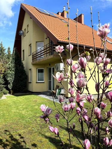 Dunajec Home — 4-Star Luxury Hotel in Chelmiec, Poland