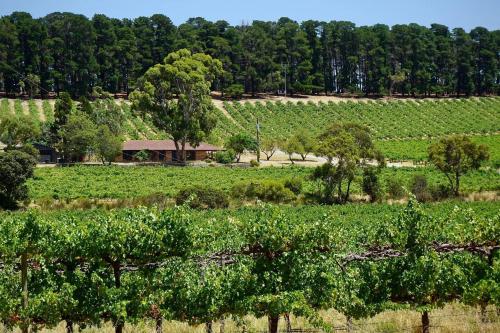Picturesque Vineyard Farmhouse Nestled on 40 Acres — 4-Star Luxury Hotel in Mclaren Vale, Australia