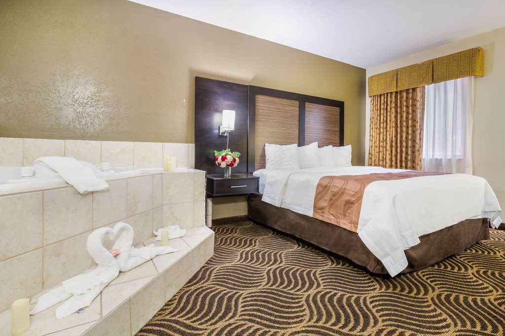 Quality Inn & Suites Florence Cincinnati South - photo 20
