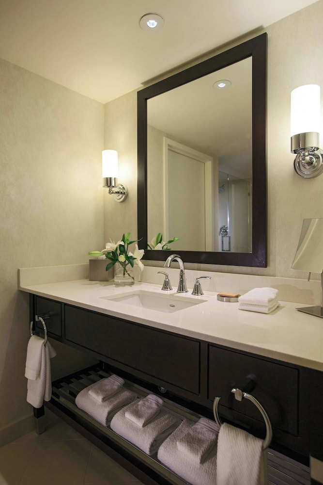 Renaissance Arlington Capital View Hotel - photo 21