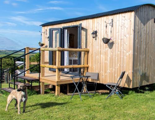 Shepherds hut with valley views — Bodmin — photo 3