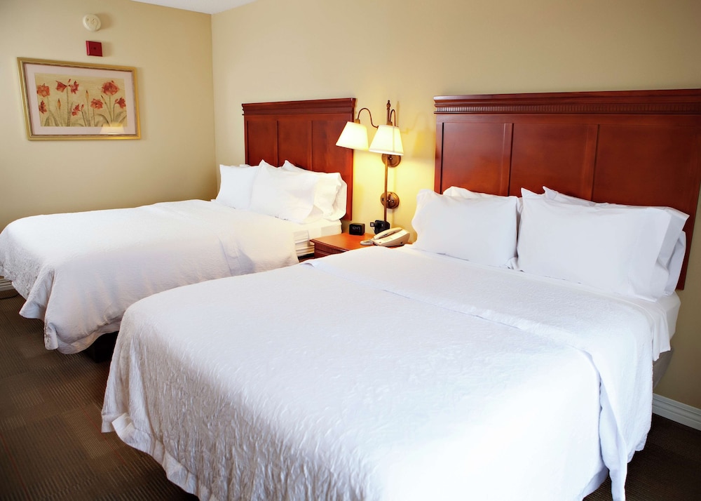 Hampton Inn Martin - photo 7