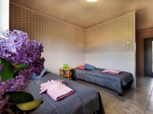 Kihnu Külalistemaja in Linakuela, Estonia