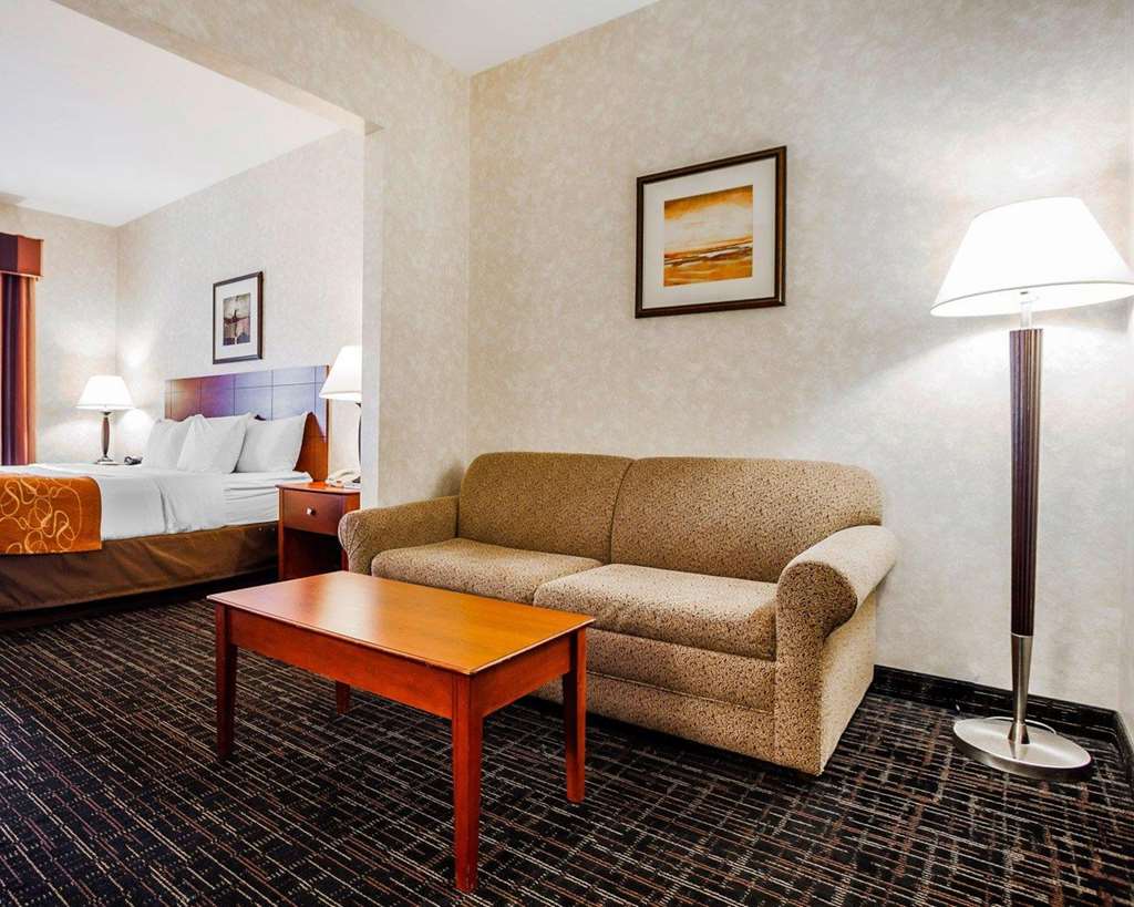 Comfort Suites Independence Kansas City - photo 6