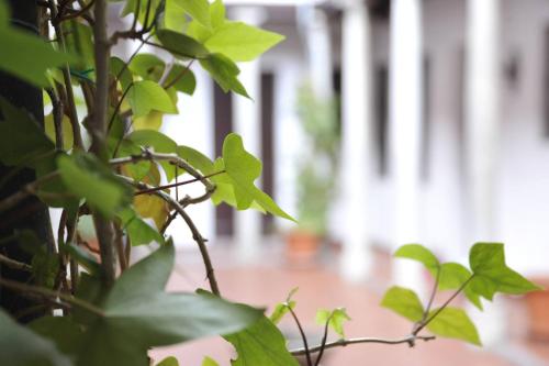 Adanar Las Columnas — 4-Star Luxury Hotel in Granada, Spain