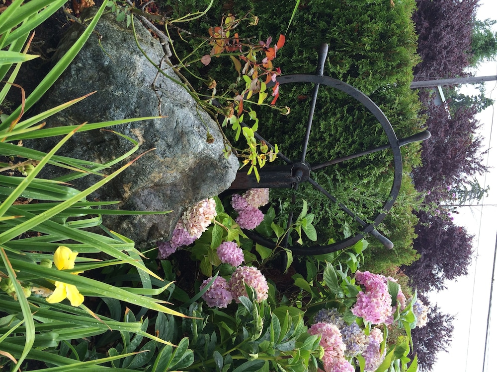 Camano Island Inn - photo 30