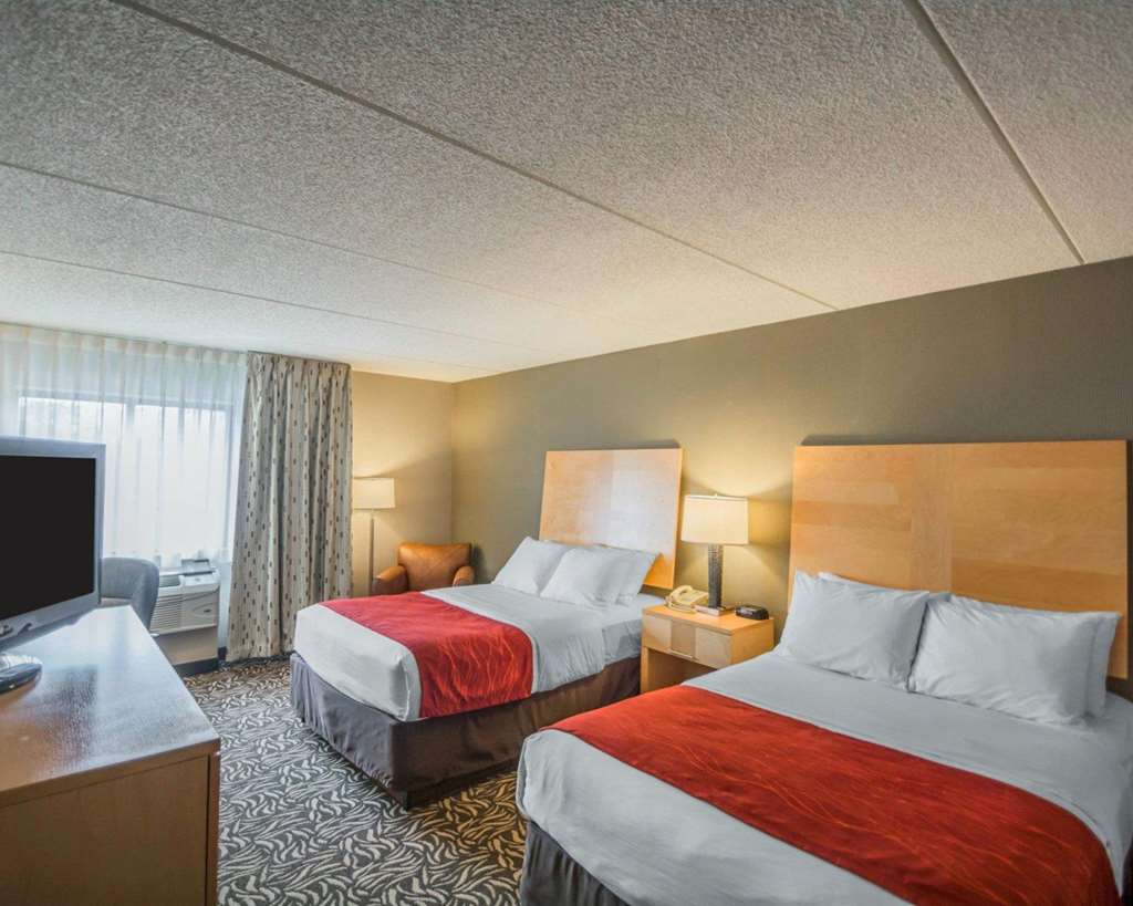 Comfort Inn NYS Fairgrounds - photo 13