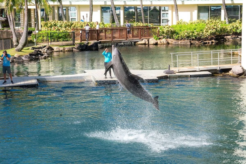 The Kahala Hotel & Resort - photo 96