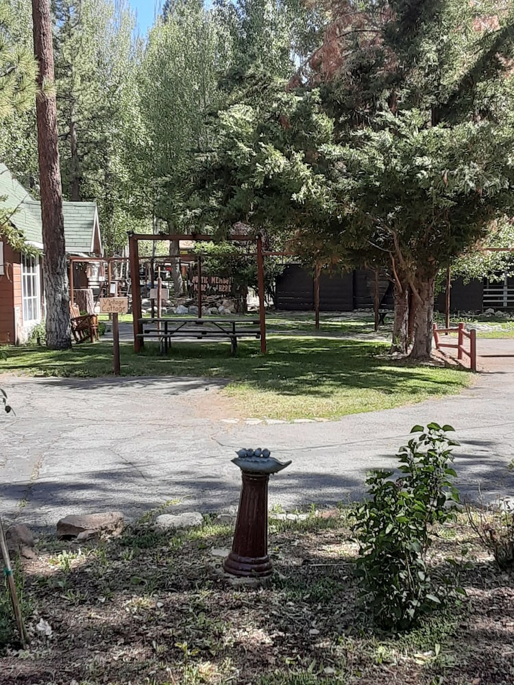 Grey Squirrel Resort - photo 172