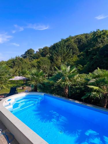 Privates Ferienhaus Mit Pool Whirlpool In Bad Durkheim — Bad Duerkheim