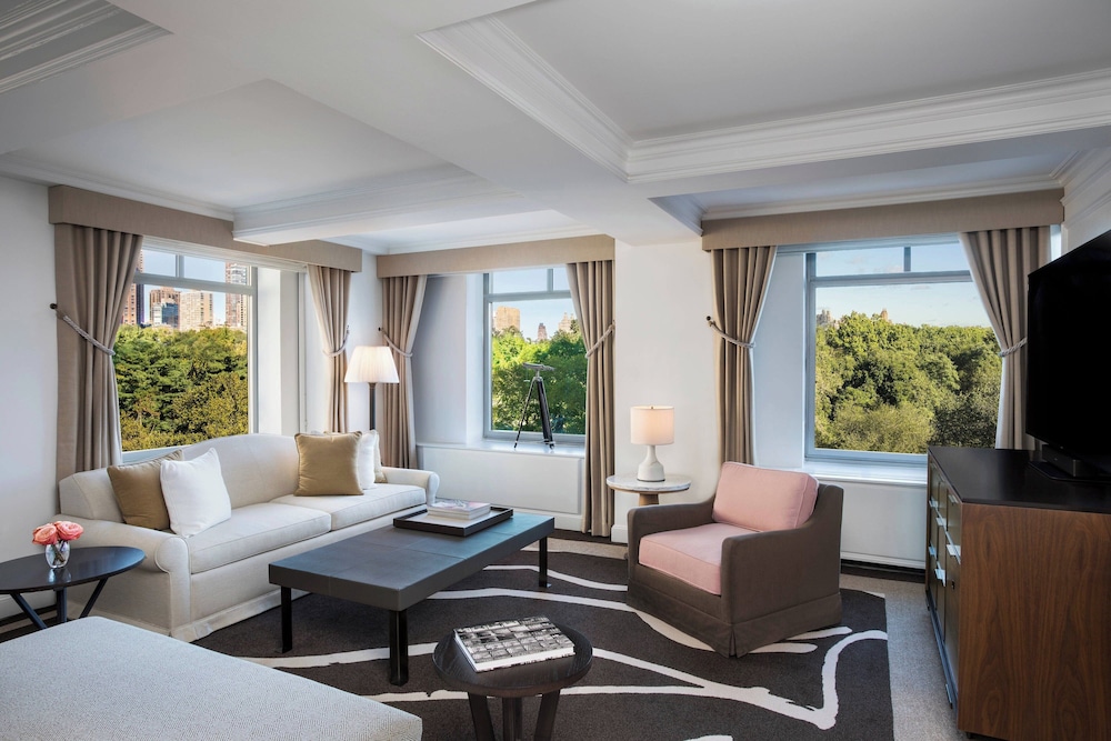 The Ritz Carlton New York Central Park - photo 44