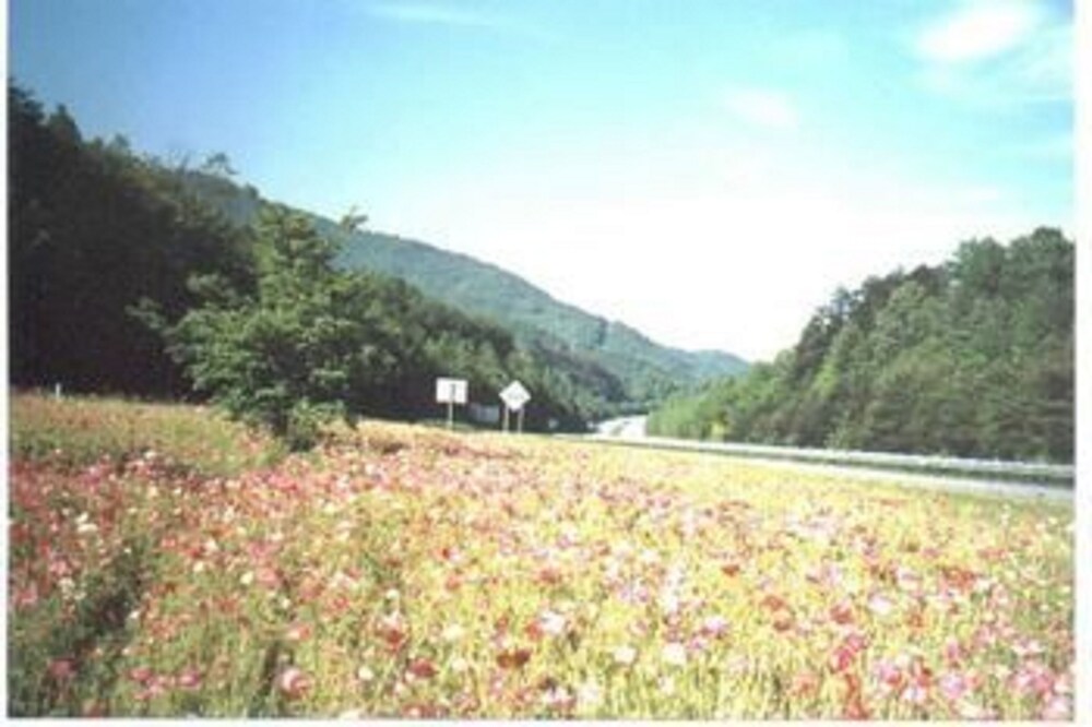 Riverbend Lodging - photo 30