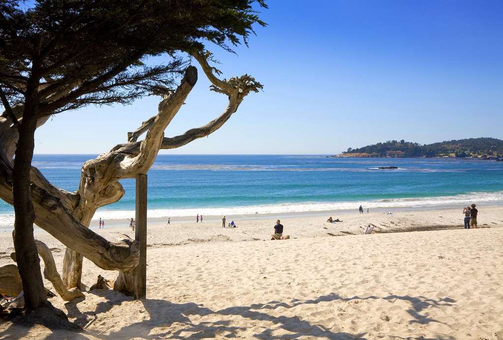 Hyatt Carmel Highlands - photo 35