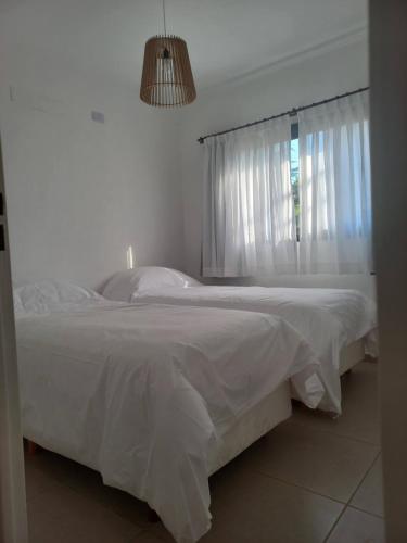 Terra Ciminto — Villa Rumipal — photo 5