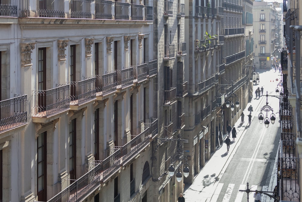 מראה חיצוני