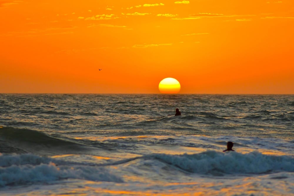 Beach Paradise 6 by Anna Maria - photo 23