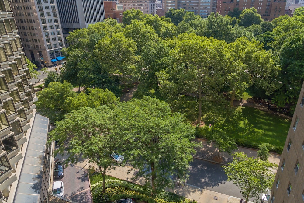 UrHomeInPhilly 1955 Rittenhouse - photo 25