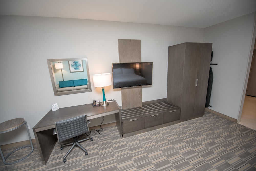 Holiday Inn Express & Suites Lake Charles South Casino Area by IHG - photo 48