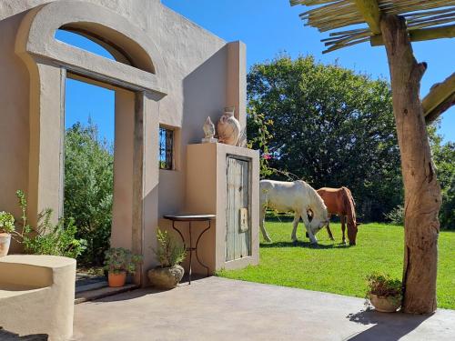 Akasha Mountain Retreat new location — 4-Star Luxury Hotel in Heidelberg, South Africa