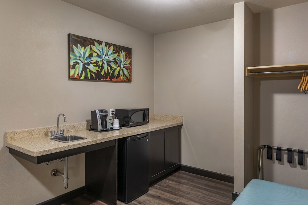 Holiday Inn Express & Suites Indio Coachella Valley by IHG - photo 28