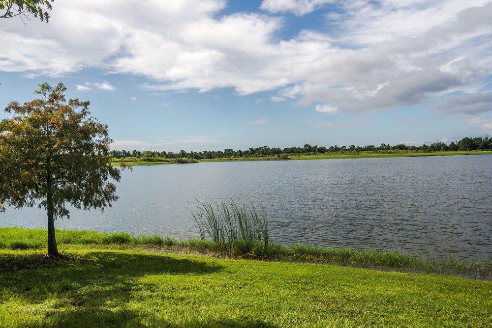 Orlando Luxury Escapes - photo 401
