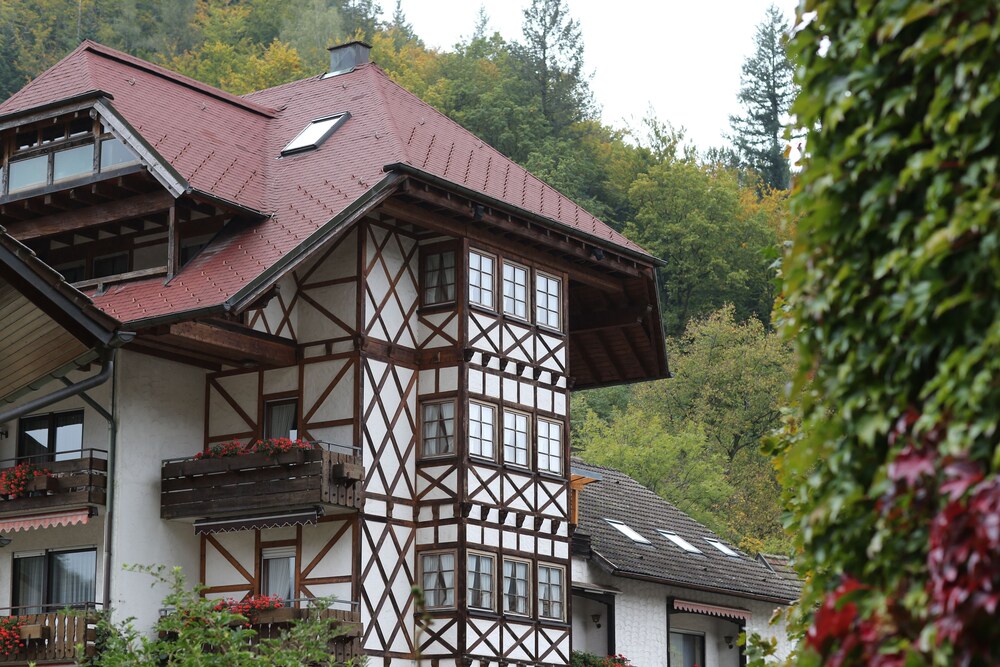 Hotel Hirsch — hotel in Freudenstadt