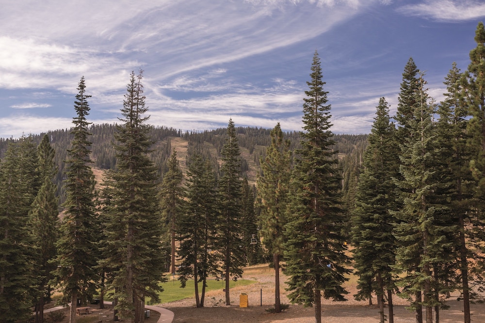 The Ritz Carlton Lake Tahoe - photo 158