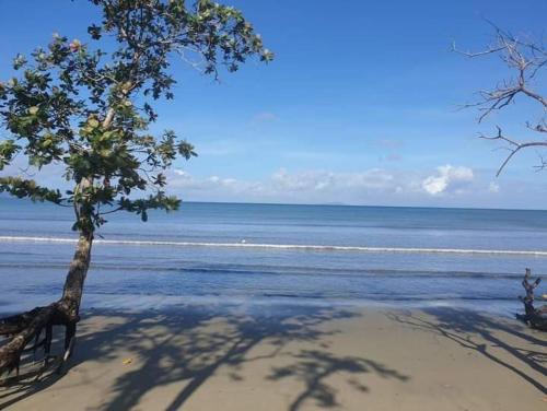 Cozy Bure in Unknown City, Fiji