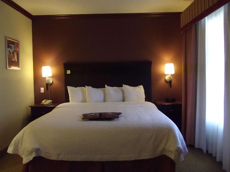 Hampton Inn & Suites Gainesville - photo 10