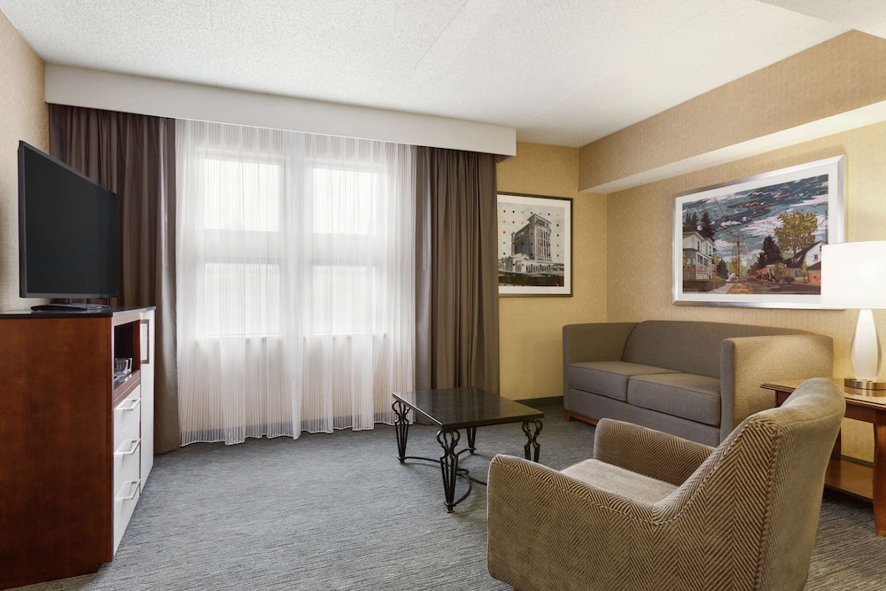 DoubleTree by Hilton Detroit Novi - photo 10