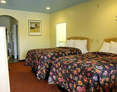 Matador Motel - photo 20