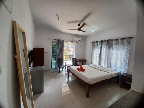 Vento Sereno — Candolim — photo 2