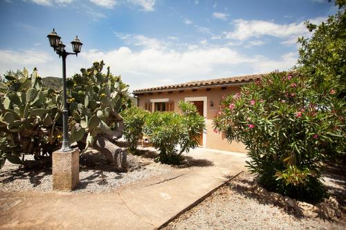 Can Patro in Manacor, Spain