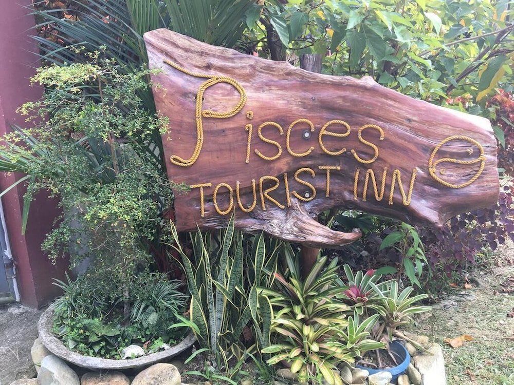 Pisces Garden Tourist Inn in San Vicente, Philippines