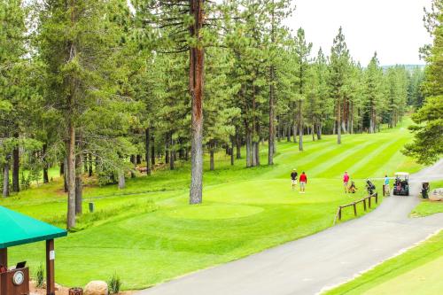 Sierra Solstice — Truckee — photo 3