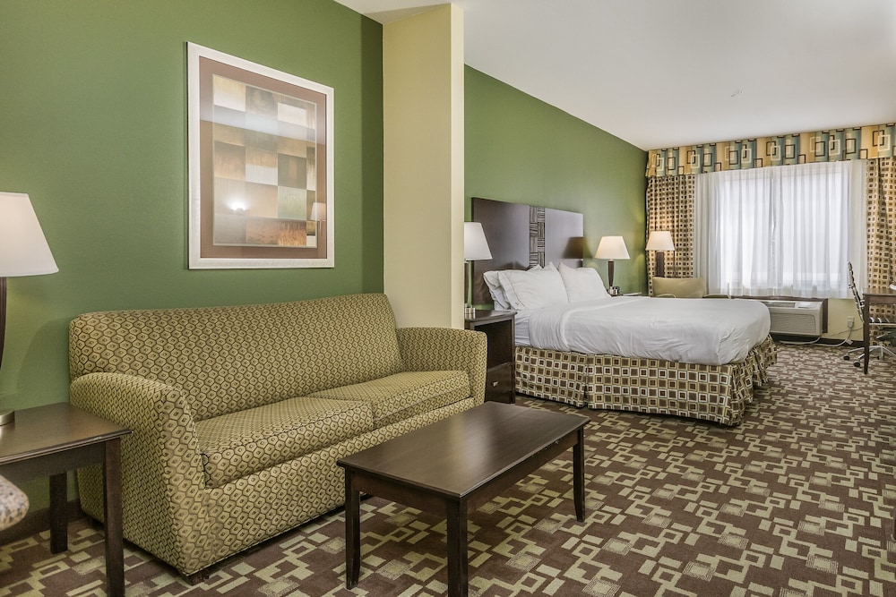Holiday Inn Express Hotel & Suites Dumas by IHG - photo 21
