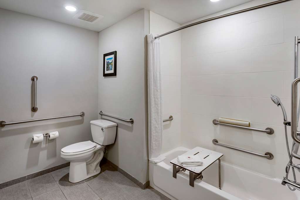 Comfort Inn & Suites Salt Lake City Airport - photo 33