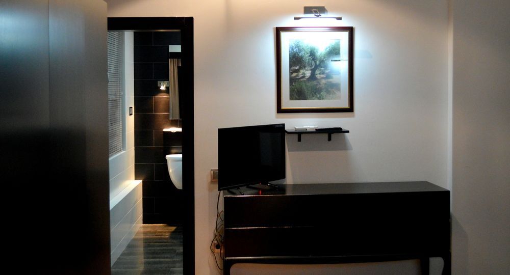 Deluxe apartment center of Tbilisi
