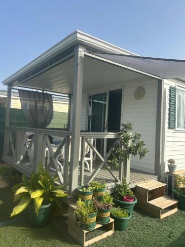 Linda Casita El Palmar Playa Zoco 300m in Vejer De La Frontera, Spain