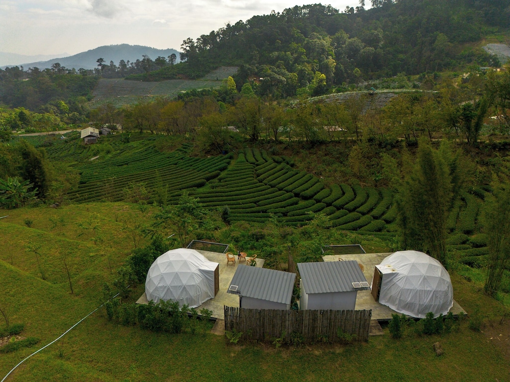 Doi Inthanon Tea Farmstay in Chom Thong, Thailand