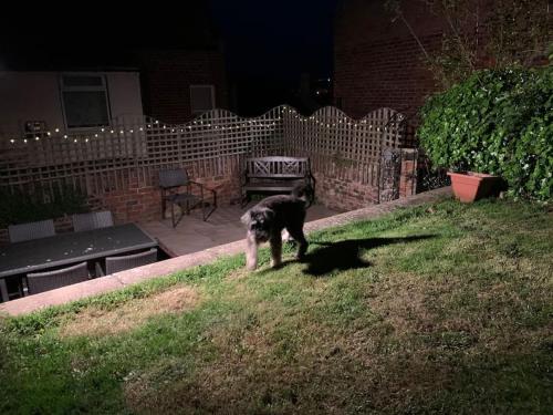 Award Winning Pet Friendly Paddock Cottage