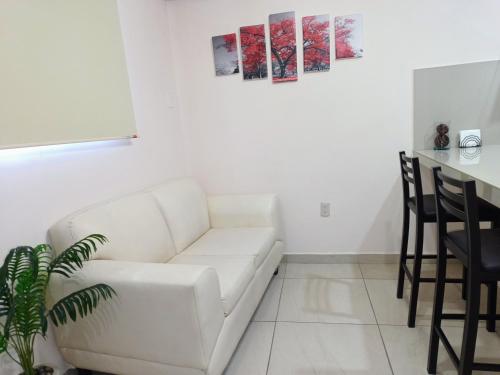 Departamento México — Tampico — photo 4