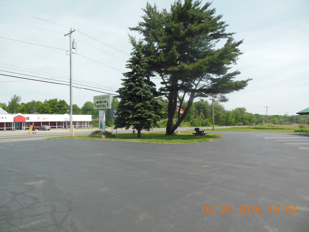 The Evergreen Motel - photo 78